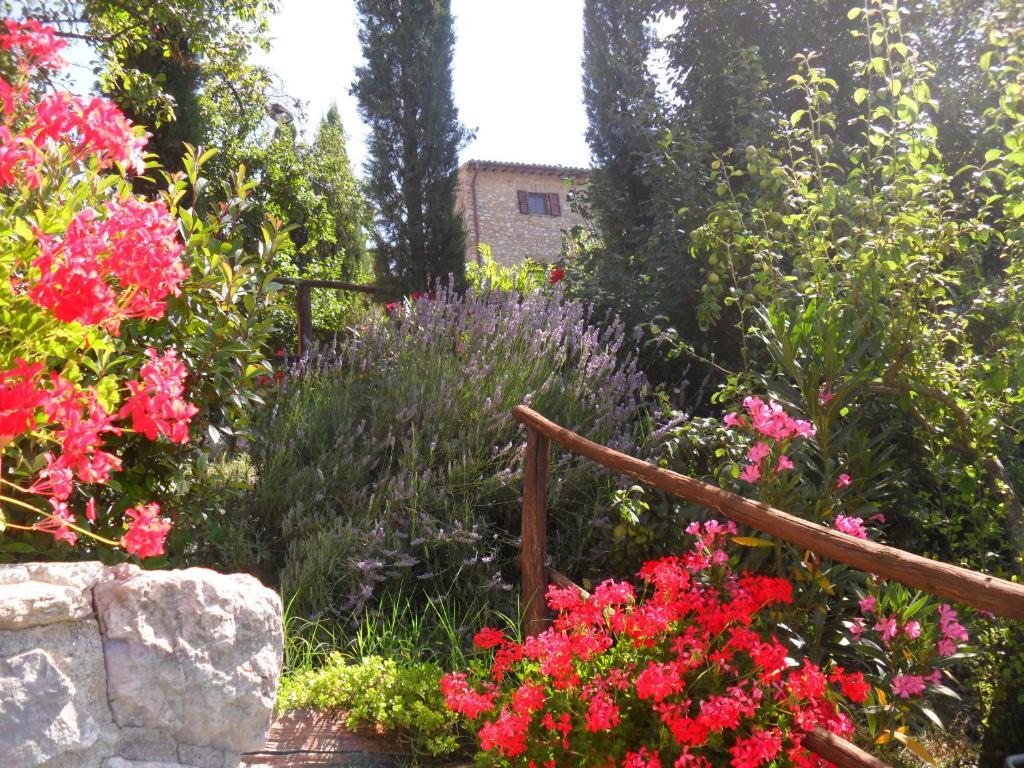 Agriturismo Roccagelli Vallo di Nera Εξωτερικό φωτογραφία
