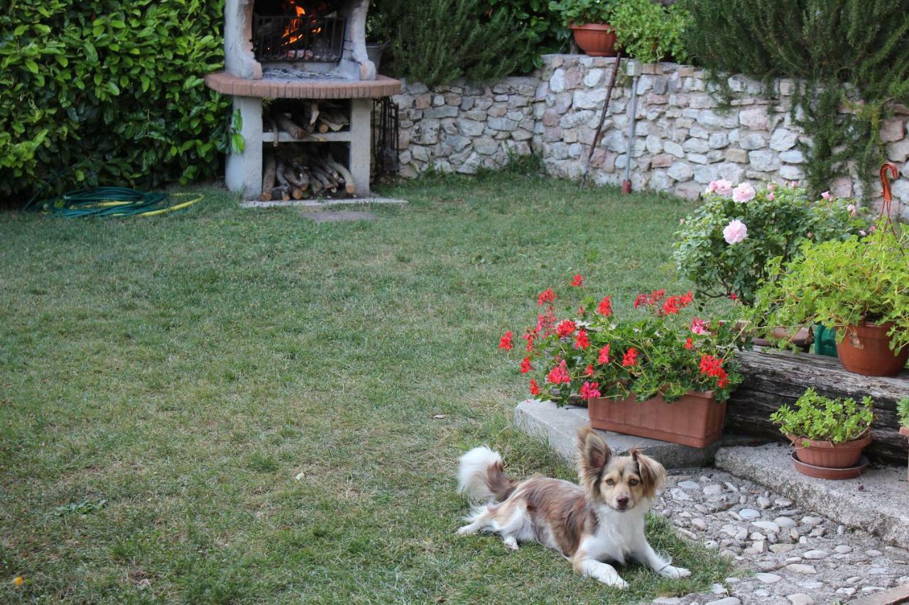 Agriturismo Roccagelli Vallo di Nera Εξωτερικό φωτογραφία