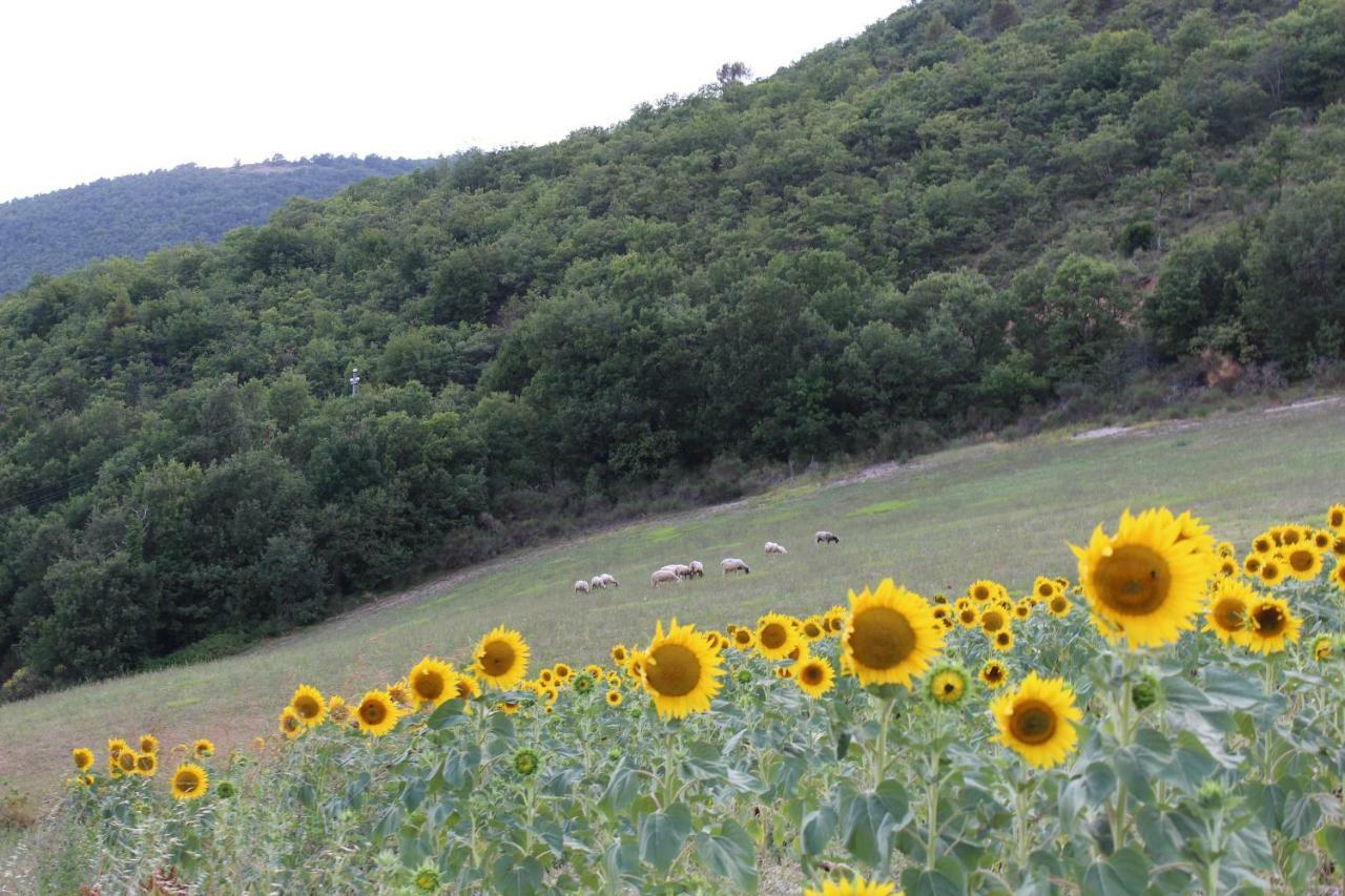 Agriturismo Roccagelli Vallo di Nera Εξωτερικό φωτογραφία