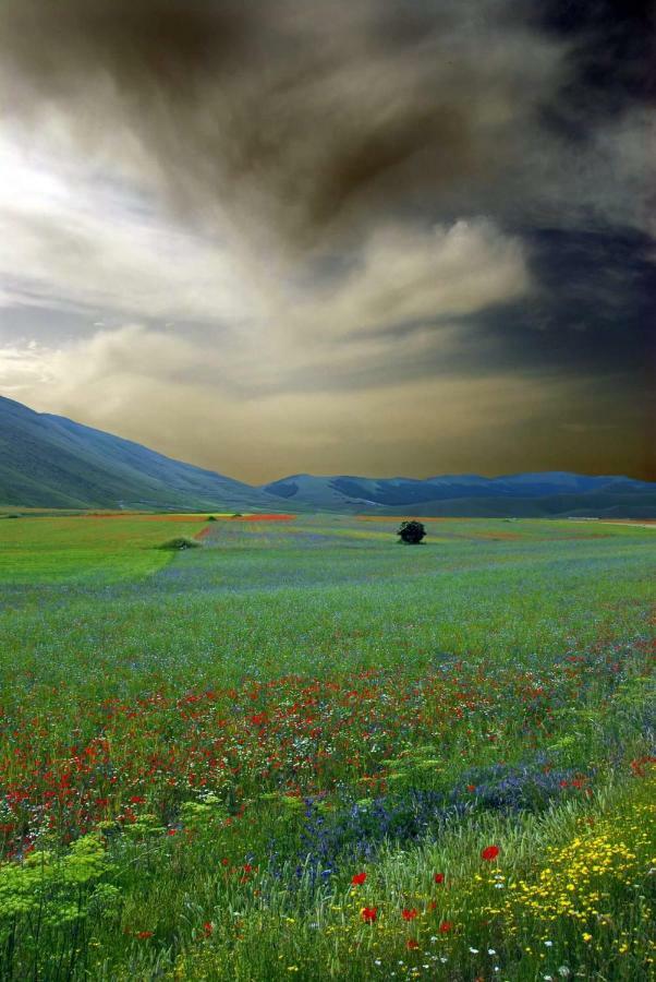 Agriturismo Roccagelli Vallo di Nera Εξωτερικό φωτογραφία